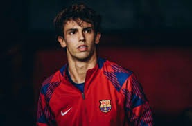 [NBA]布克31分 太阳力克尼克斯