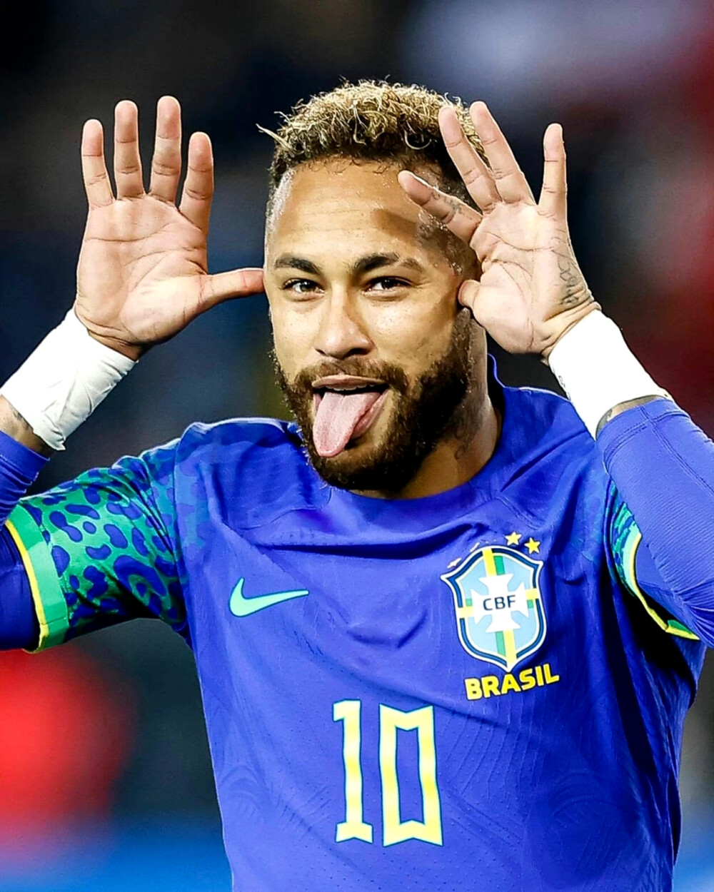 体系的潜在 体系的潜在