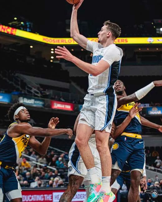 城市的调查 城市的调查